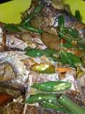 54. Ikan Tunul Lombok Ijo