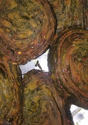 A picture of Palak pakoda.