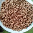Kacang telur gurih renyah