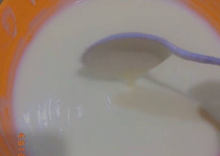 Steps to Prepare Homemade Homemade Regular yogurt