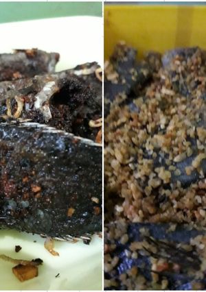 Foto resep Ikan Samu/Pakasam #BikinRamadhanBerkesan