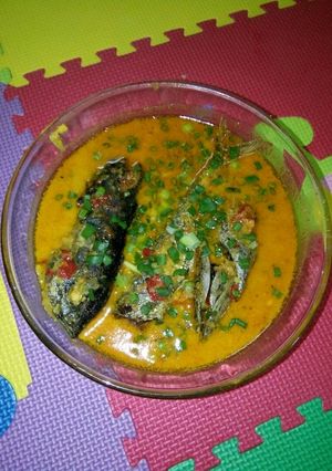 Foto resep Ikan tongkol kuah santan