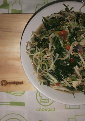 Foto resep Tumis Daun Katu