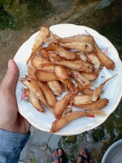 Hình của món Cá đùi gà chiên giòn.