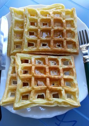 健康小吃-窩夫 [無油/泡打粉] 的食譜成品照片