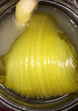 Foto resep Sayur Asin