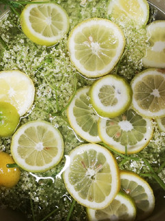 Bodzaszörp diétásan recept fotója