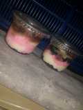 Cheese cake lumer ala bahan seadanya