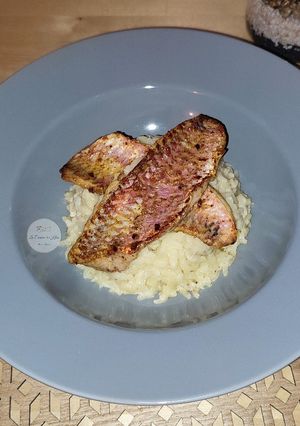 Une photo de Risotto au parmesan et filets de rougets