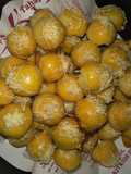 Nastar ngeplur lumer endes