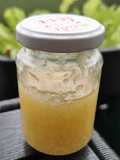 Gurken Marmelade