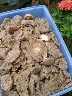 Foto resep Kerupuk Nasi Merah