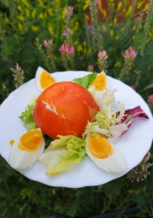 Une photo de 🐟Dome frais au saumon🐟