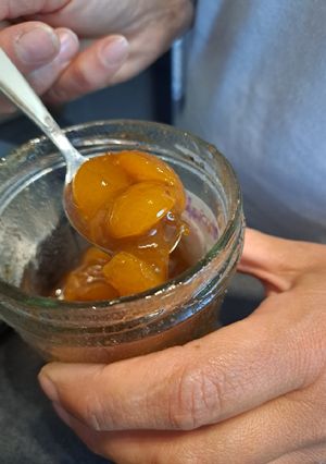 Une photo de Marmelade de mirabelle