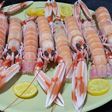 Cómo cocer cigalas