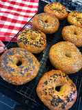 Homemade Bagels