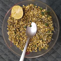A picture of Roasted green moong sprout.