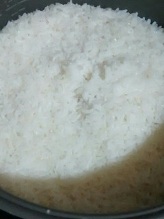 Foto resep Nasi putih ricecooker