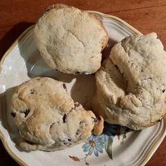 A picture of Sausage Biscuits .