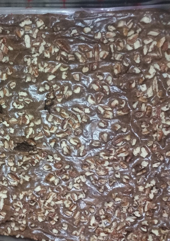 Una foto de Brownie a mi estilo