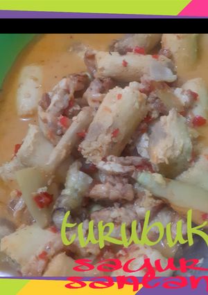 Foto resep Turubuk dan tempe sayur santan🥰