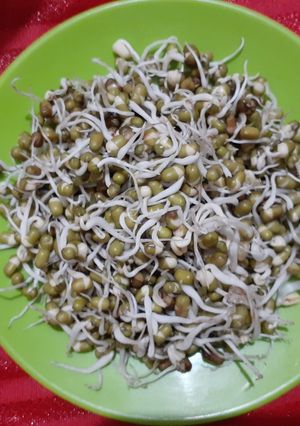 ફણગાવેલા મગ (Sprouted Moong Recipe In Gujarati) રેસીપી મુખ્ય ફોટો