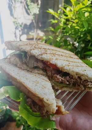 Foto resep Sandwich tuna (diet rendah kalori)