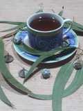 Infusión de eucalipto