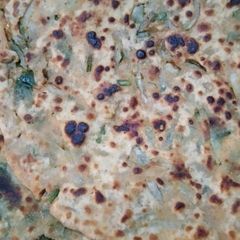 A picture of Spinach Parantha.