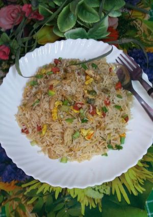 A picture of Chicken Egg fried rice.