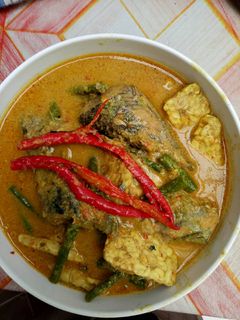 Foto resep Gulai tongkol+tempe