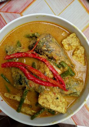 Foto resep Gulai tongkol+tempe