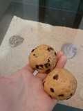 Chocochip rolled oat scone