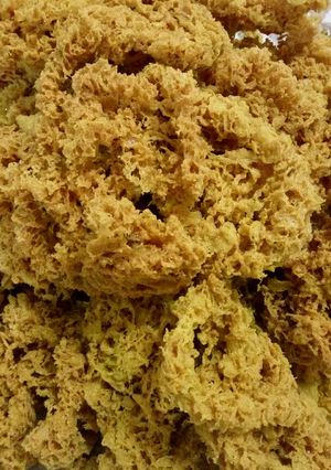 Foto resep Kremesan