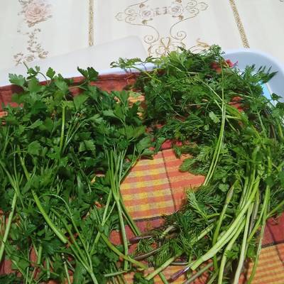 الفرق بين أوراق الكزبرة الخضراء و بذور الكزبرة المجففة شيب عربية