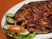 Gambar ikan baronang kemiri