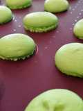 Easy Macaron Shells