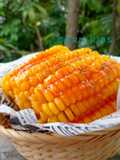 Corn Ribs Goreng Saus Mayo