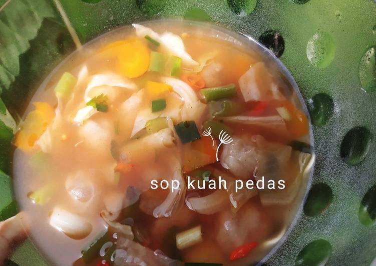 Sop kuah pedas