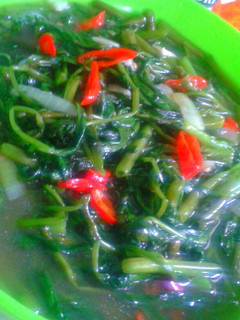 Foto resep Cah kangkung saus tiram