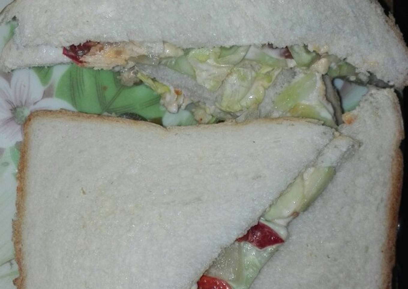 Healthy Vegetable Cold Sandwich
