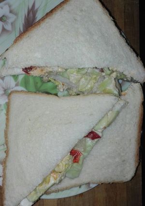 A picture of Healthy Vegetable Cold Sandwich.