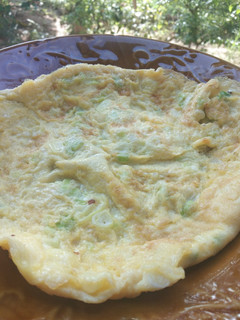 Foto resep Telur Dadar Daun Bawang