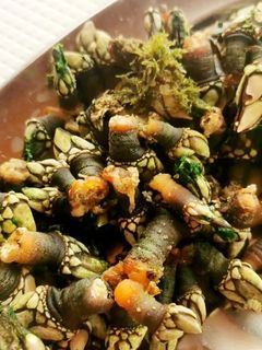 Foto de Percebes