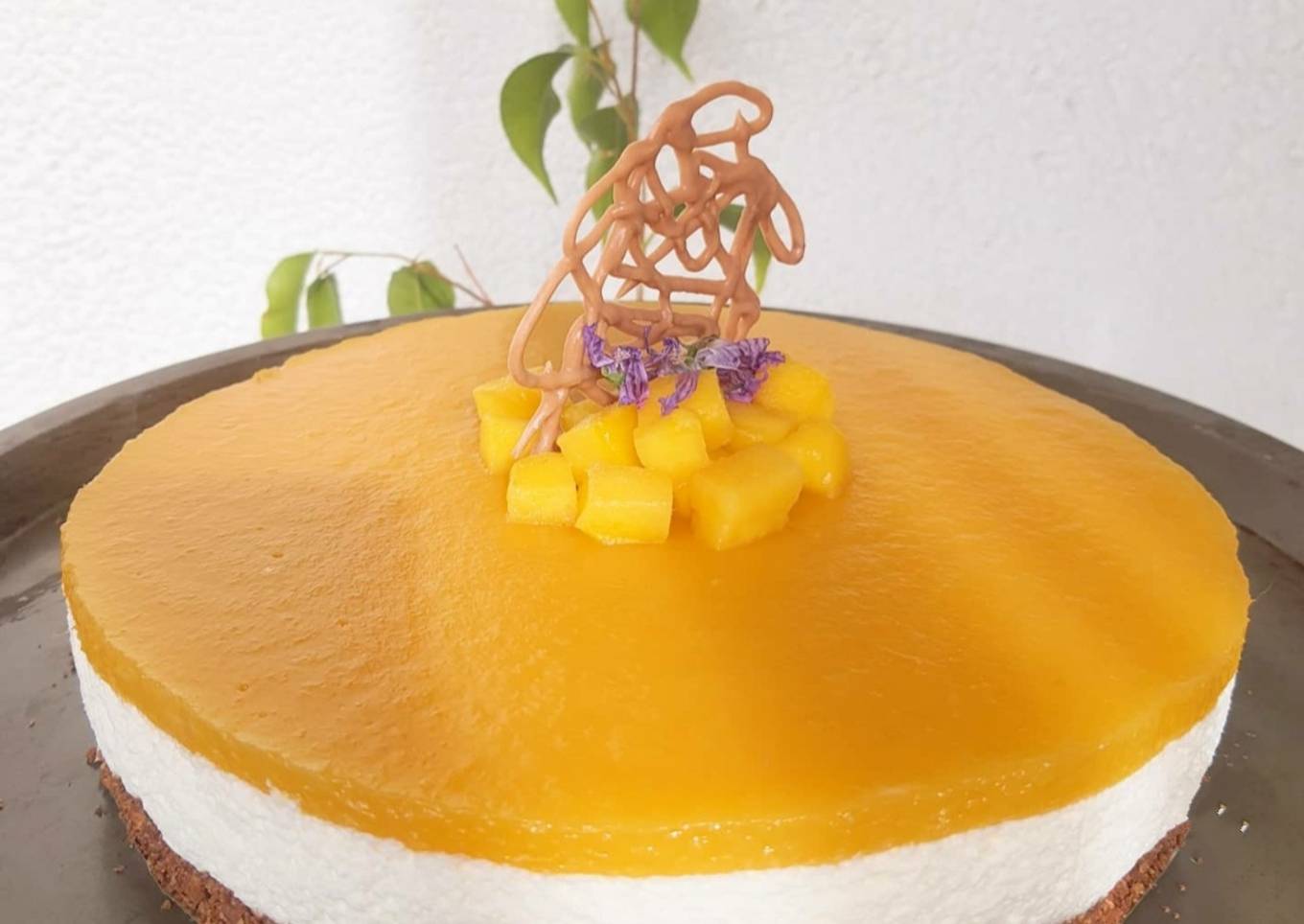 Recipe of Favorite Lactose Free Mango Cheesecake
