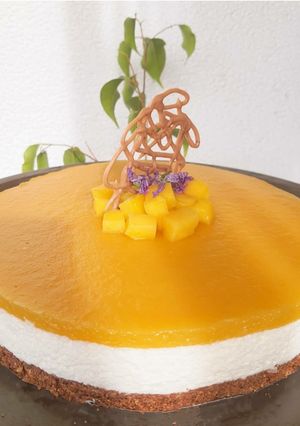 A picture of Lactose Free Mango Cheesecake.