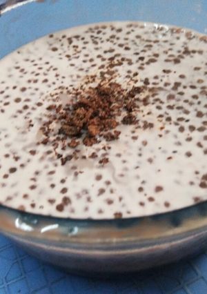ચિયા સીડ્સ પુડિગ (Chia Seeds Pudding Recipe In Gujarati) રેસીપી મુખ્ય ફોટો