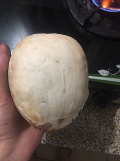 Hình của món Cách bóc dừa cả quả.