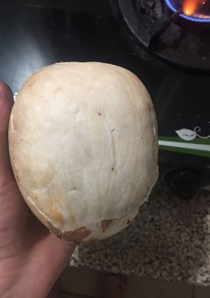 Hình của món Cách bóc dừa cả quả.