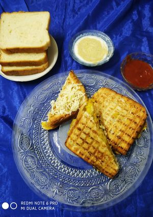 ચીઝ ટોસ્ટેડ સેન્ડવીચ (Cheese Toasted Sandwich Recipe In Gujarati રેસીપી મુખ્ય ફોટો